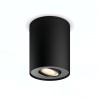 Philips  Φωτιστικό Σποτ  Hue Pillar Dimmer Switch 2200K - 6500K 700lm Black (929003046501) (PHI929003046501)