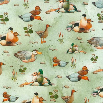 ΧΑΡΤΙ ΠΟΛΥΤΕΛΕΙΑΣ ΟFFSET 70x100 cm Νο 041