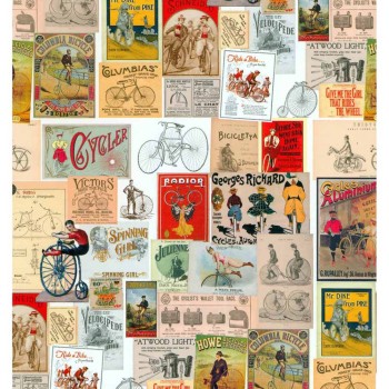 ΧΑΡΤΙ ΠΟΛΥΤΕΛΕΙΑΣ FLORIO 70x100 cm Νο 043