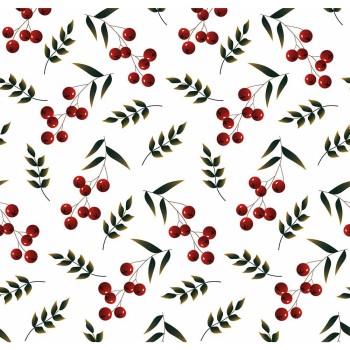 ΧΑΡΤΙ ΠΟΛΥΤΕΛΕΙΑΣ CHRISTMAS ΟFFSET 70x100 cm Νο 113