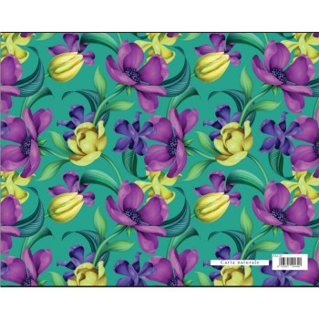 ΧΑΡΤΙ ΠΟΛΥΤΕΛΕΙΑΣ CARTA FLORENTIA 70x100 cm 90gr FLC33