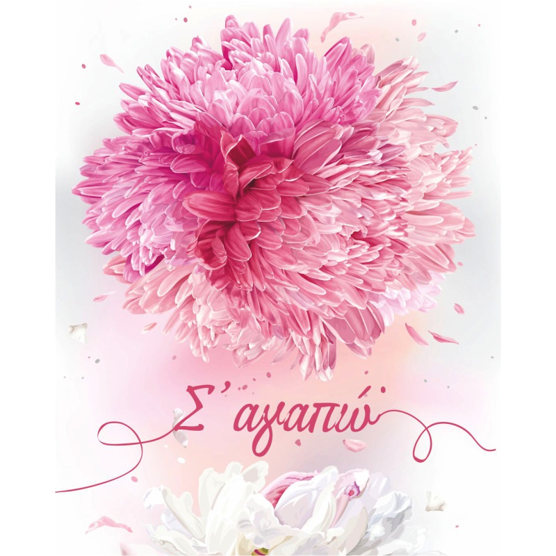 ΚΑΡΤΑΚΙΑ ΕΥΧΕΤΗΡΙΑ ΟΥΔΕΤΕΡΑ 9χ11 NS014