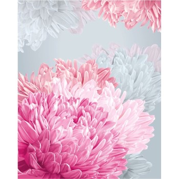 ΚΑΡΤΑΚΙΑ ΕΥΧΕΤΗΡΙΑ ΟΥΔΕΤΕΡΑ 9χ11 NS018