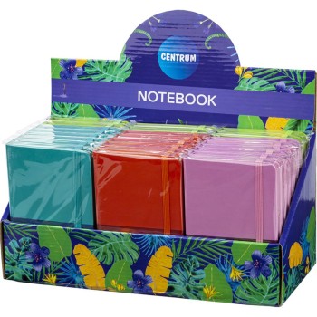 ΣΗΜΕΙΩΜΑΤΑΡΙΟ CENTRUM ΜΟΝΟΧΡΩΜΟ Α6 9x14cm (80 σελ. με λάστιχο)
