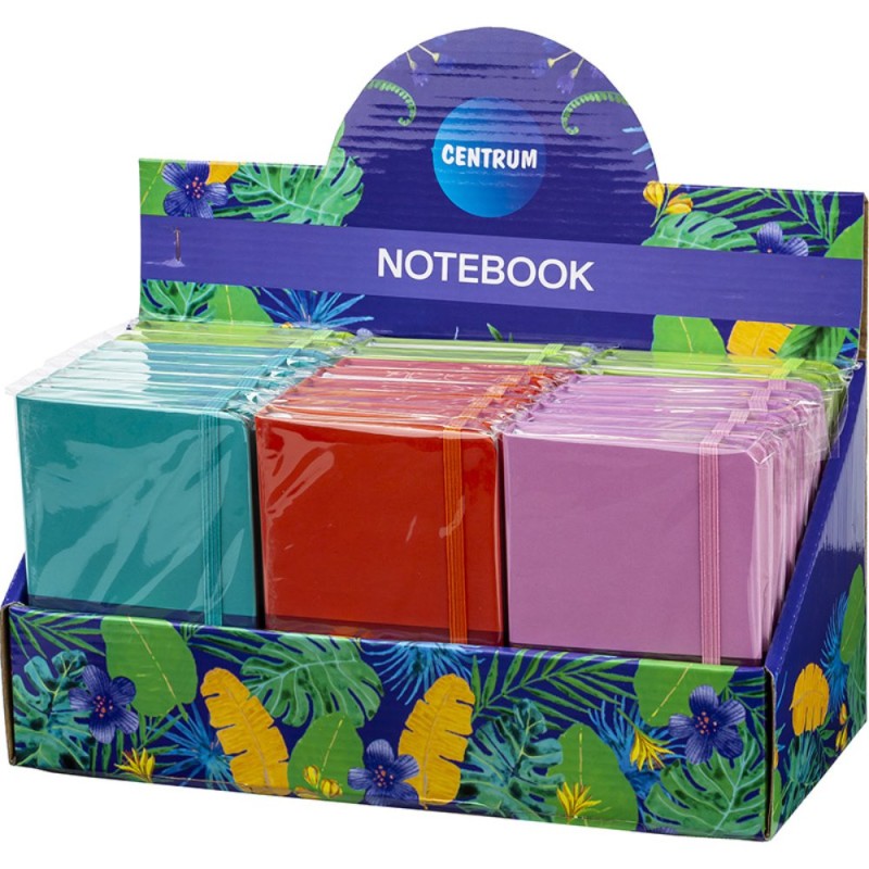 ΣΗΜΕΙΩΜΑΤΑΡΙΟ CENTRUM ΜΟΝΟΧΡΩΜΟ Α6 9x14cm (80 σελ. με λάστιχο)