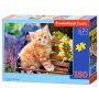PUZZLE  CASTORLAND 180τεμ. Ginger kitten (320x230mm)