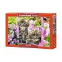 PUZZLE  CASTORLAND 1000τεμ. Kittens in Summer Garden