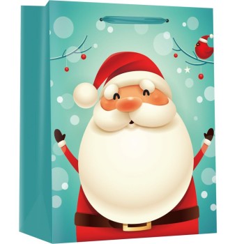 ΤΣΑΝΤΕΣ ΔΩΡΩΝ CHRISTMAS 47x60x16cm