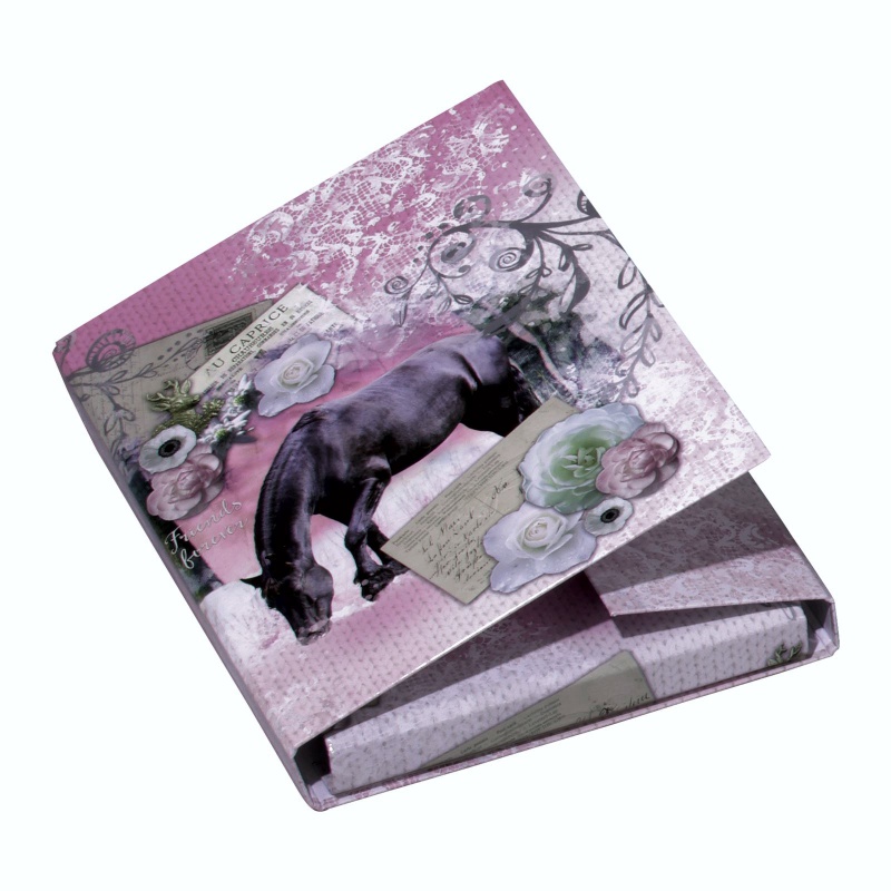 ΚΟΥΤΙ ΣΚΡΑΤΣ PAGNA Α4 LA PASSIONATA