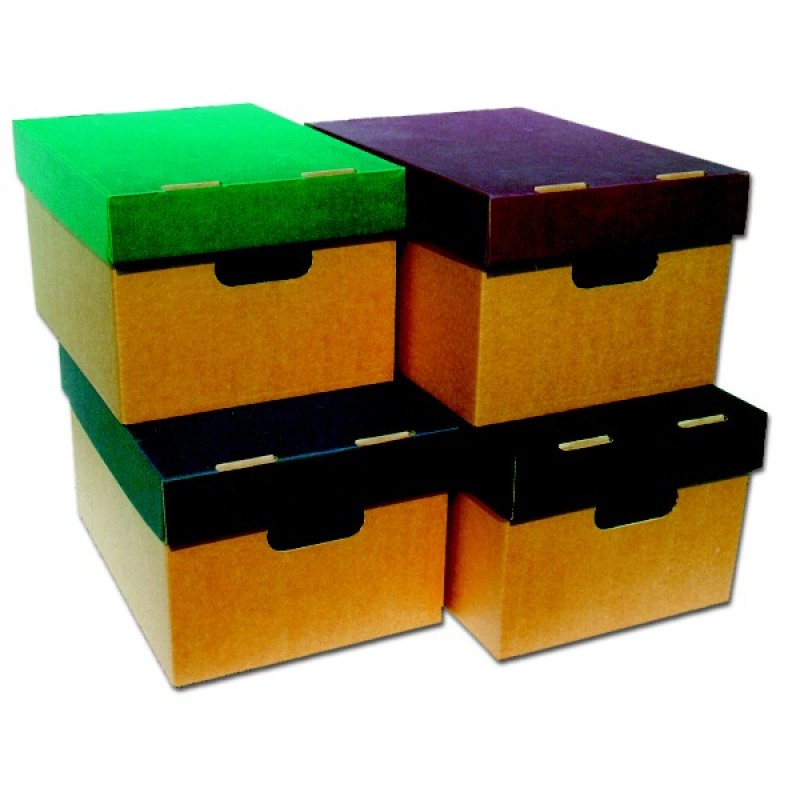 ΚΟΥΤΙ ΑΠΟΘΗΚΕΥΣΗΣ ΟΙΚΟΛΟΓΙΚΟ Α3 ΧΡΩΜΑΤ.ΚΑΠΑΚΙ 33Χ21Χ44