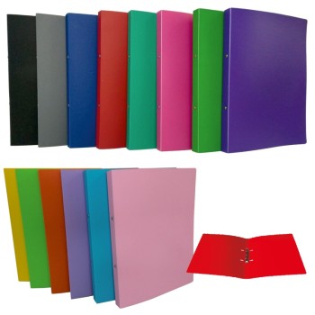 ΚΛΑΣΕΡ PP 19χ26χ2cm (2 κρικ 16mm) ΣΥΜΠΑΓΗ ΧΡΩΜΑΤΑ