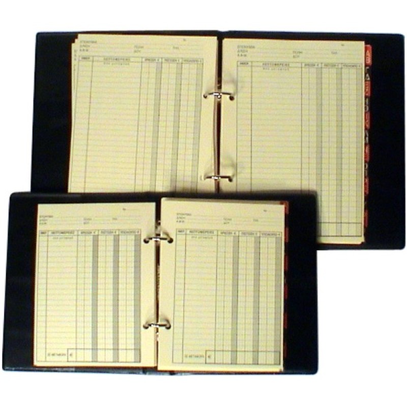 ΚΛΑΣΕΡ ΚΑΡΤΕΛΛΩΝ ΜΑΝΤΑΡΙΝΑ Νο2 17,5χ23,5cm