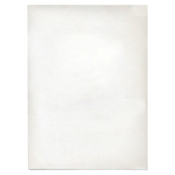 ΖΕΛΑΤΙΝΕΣ ΕΓΧΩΡΙΕΣ Π 23χ31 cm (πακέτο 100τεμ.)