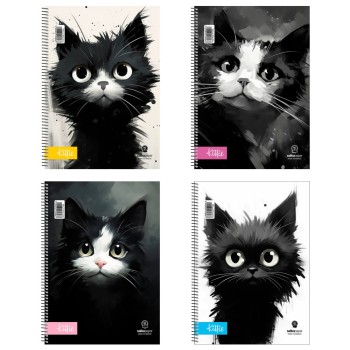 ΤΕΤΡΑΔΙΑ SALKO ΣΠΙΡΑΛ KITTIE 17X25 3 ΘΕΜ.