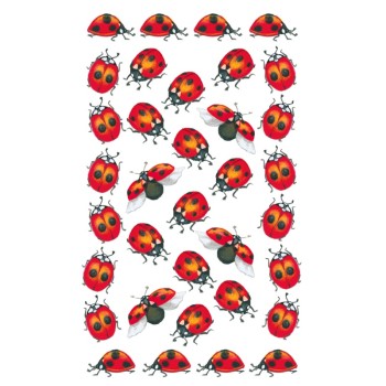 ΑΥΤΟΚΟΛΛΗΤΑ BSB ΑΠΛΑ LADYBIRDS (3 φύλλο)