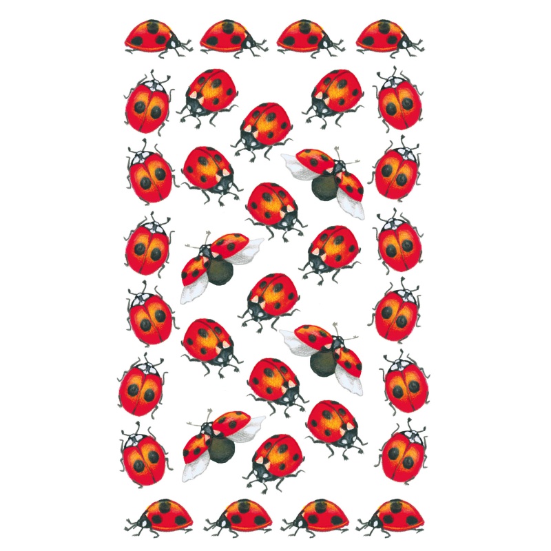 ΑΥΤΟΚΟΛΛΗΤΑ BSB ΑΠΛΑ LADYBIRDS (3 φύλλο)