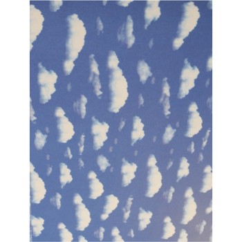 ΦΩΤΟΚΑΡΤΟΝ 50Χ70 ΣΥΝΝΕΦΑ