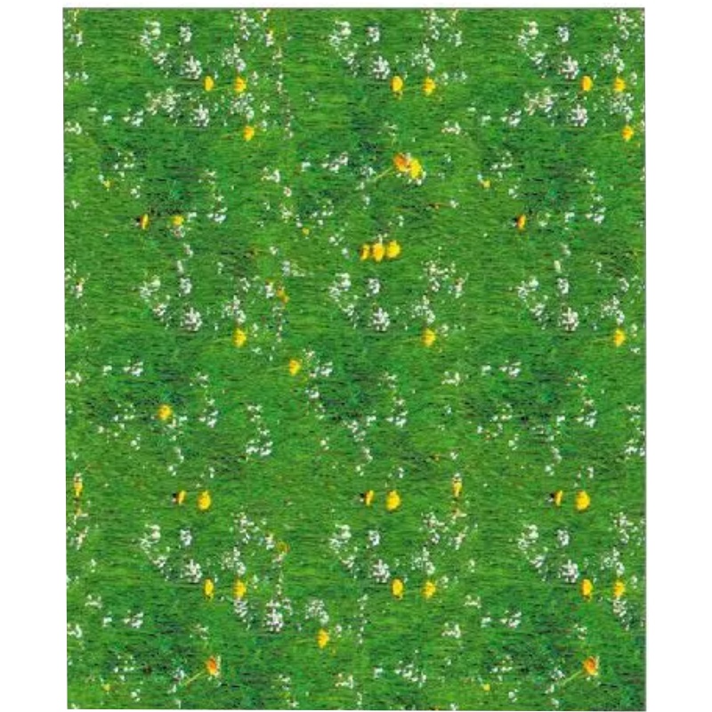 ΦΩΤΟΚΑΡΤΟΝ 50Χ70 ΛΕΙΒΑΔΙ