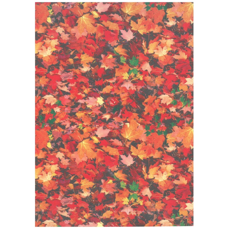 ΦΩΤΟΚΑΡΤΟΝ 50Χ70 ΦΥΛΛΑ