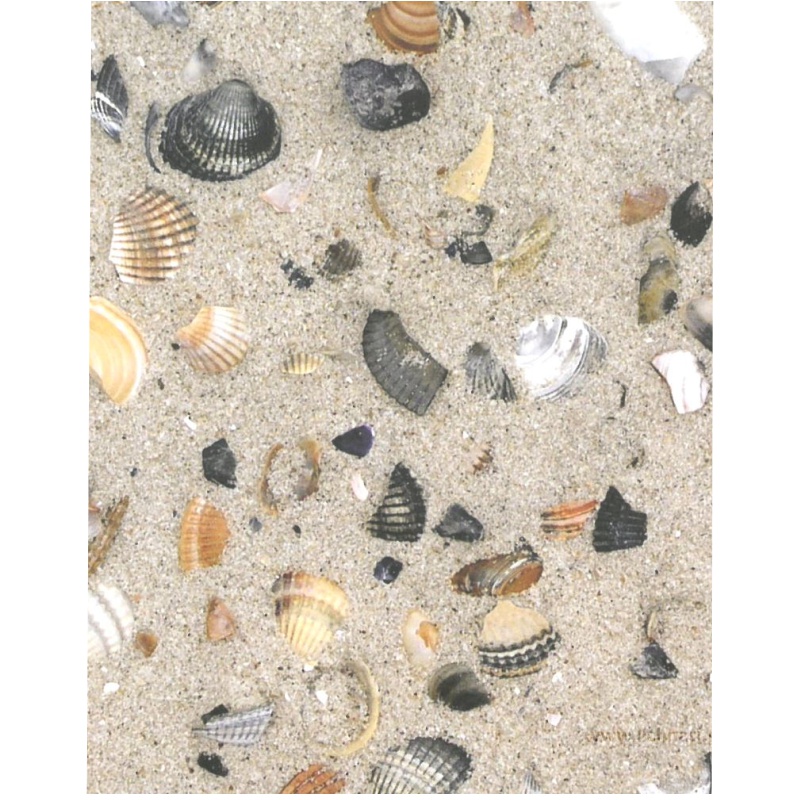 ΦΩΤΟΚΑΡΤΟΝ 50Χ70 ΚΟΧΥΛΙΑ