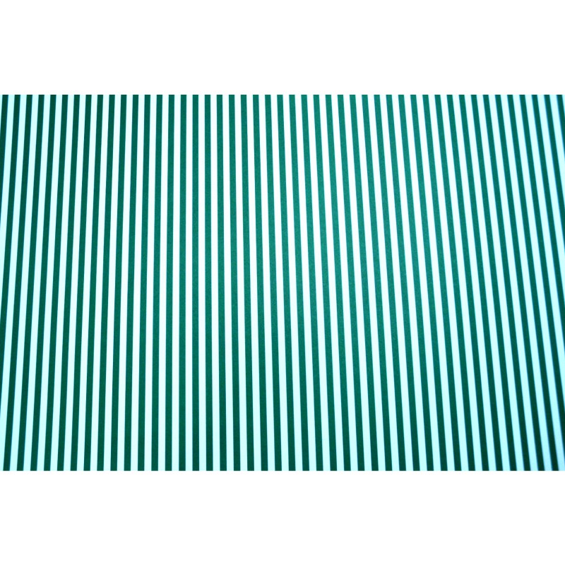 ΧΑΡΤΟΝΙΑ ΡΙΓΕ 50Χ70 250 gr ΛΕΥΚΟ ΠΡΑΣΙΝΟ