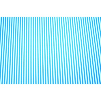 ΧΑΡΤΟΝΙΑ ΡΙΓΕ 50Χ70 250 gr ΛΕΥΚΟ ΣΙΕΛ