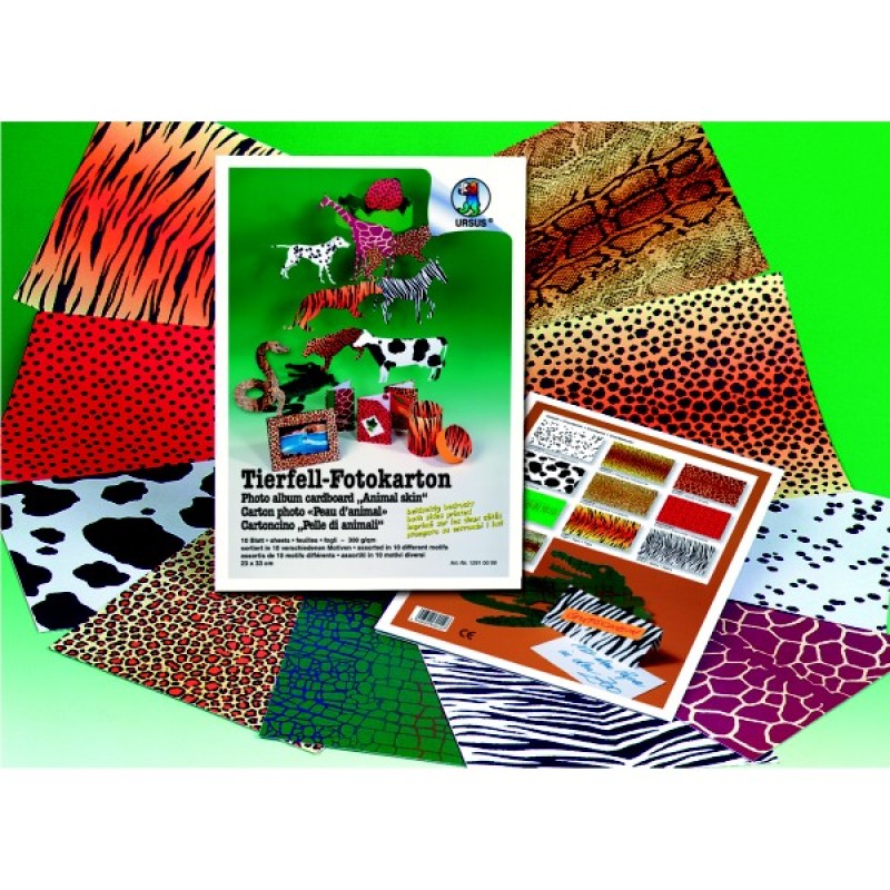 ΜΠΛΟΚ ΧΑΡΤΟΝΙΑ ANIMAL 25X35