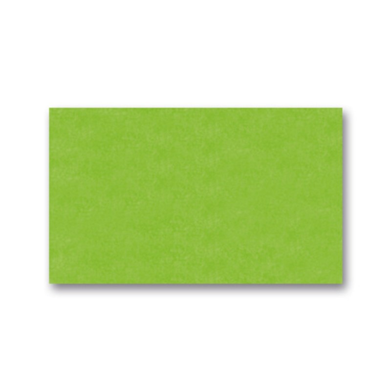 ΧΑΡΤΙ ΑΦΗΣ FOLIA 20gr 50x70cm LIGHT GREEN