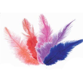 ΠΟΥΠΟΥΛΑ 10-12CM /24ΤEM COCK