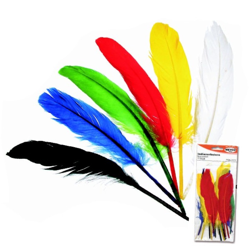 ΦΤΕΡΑ INDIAN ΜΕΓΑΛΑ 27-30ΕΚ 12τεμ.