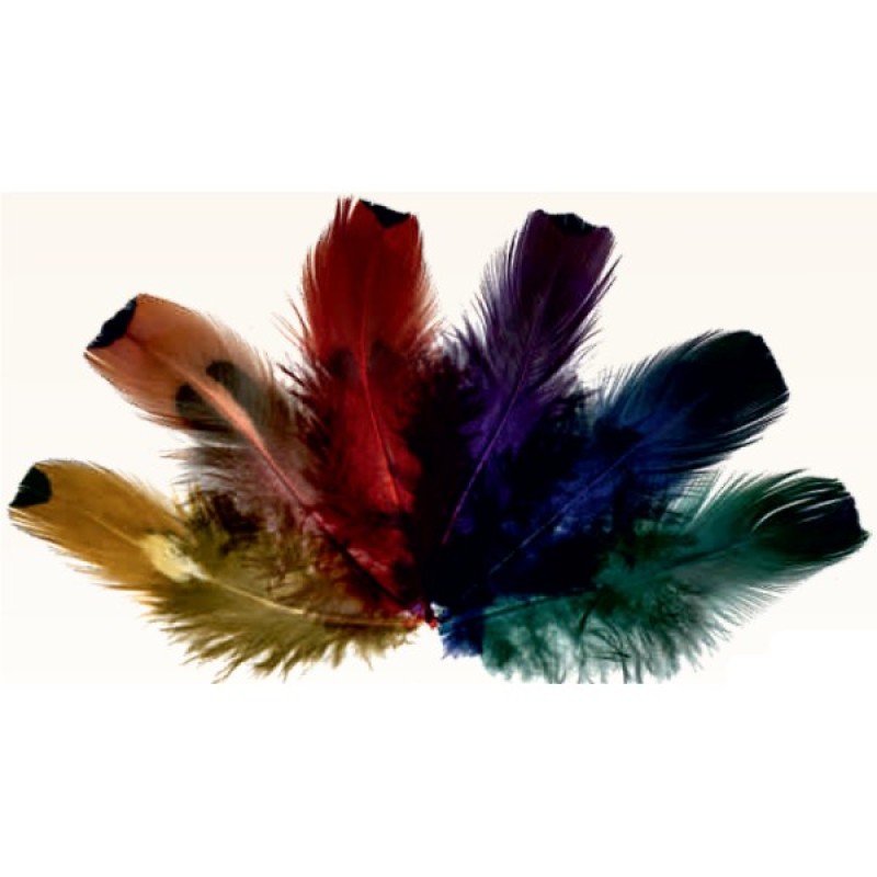 ΠΟΥΠΟΥΛΑ 10-12CM PHAESANT