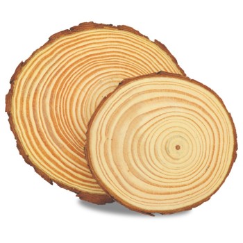 ΔΙΑΚΟΣΜΗΤΙΚΟΣ ΚΟΡΜΟΣ ΞΥΛΙΝΟΣ ΣΤΡΟΓΓΥΛΟΣ 10cm πάχος1cm.