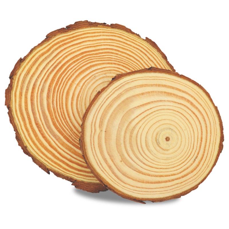 ΔΙΑΚΟΣΜΗΤΙΚΟΣ ΚΟΡΜΟΣ ΞΥΛΙΝΟΣ ΣΤΡΟΓΓΥΛΟΣ 10cm πάχος1cm.