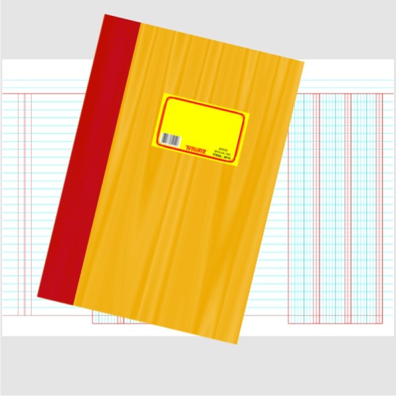 ΦΥΛΛΑΔΕΣ ΛΟΓΙΣΤΙΚΕΣ 25Χ35 Φ.100